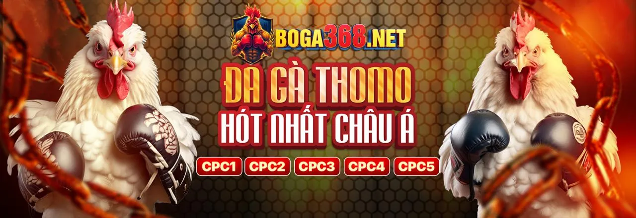 Đá gà trực tuyến 58win code với không khí sôi động