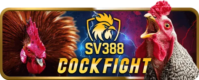 Cá cược bóng đá với biểu tượng 58win code